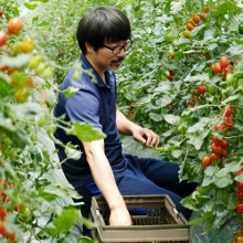 [소소한꽃농이네] 유기농 대추방울토마토 2kg